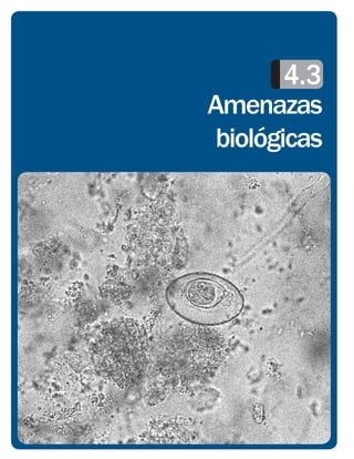 4.3
Amenazas
 biológicas
 