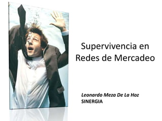 Supervivencia en Redes de Mercadeo Leonardo Meza De La Hoz SINERGIA 