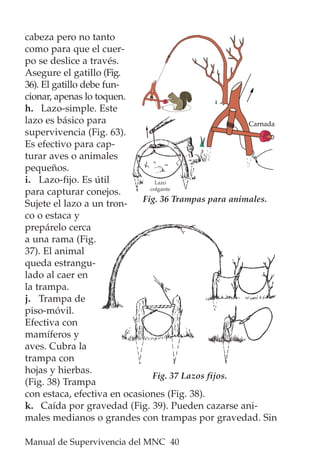 Manual de Supervivencia del MNC 40
cabeza pero no tanto
como para que el cuer-
po se deslice a través.
Asegure el gatillo (Fig.
36). El gatillo debe fun-
cionar, apenas lo toquen.
h. Lazo-simple. Este
lazo es básico para
supervivencia (Fig. 63).
Es efectivo para cap-
turar aves o animales
pequeños.
i. Lazo-fijo. Es útil
para capturar conejos.
Sujete el lazo a un tron-
co o estaca y
prepárelo cerca
a una rama (Fig.
37). El animal
queda estrangu-
lado al caer en
la trampa.
j. Trampa de
piso-móvil.
Efectiva con
mamíferos y
aves. Cubra la
trampa con
hojas y hierbas.
(Fig. 38) Trampa
con estaca, efectiva en ocasiones (Fig. 38).
k. Caída por gravedad (Fig. 39). Pueden cazarse ani-
males medianos o grandes con trampas por gravedad. Sin
Fig. 37 Lazos fijos.
Fig. 36 Trampas para animales.
Carnada
Lazo
colgante
 