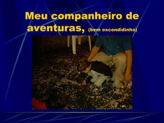 Meu companheiro de
aventuras, (bem escondidinho)
 