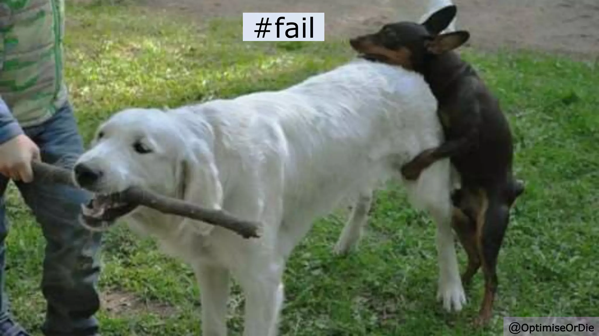 #fail
@OptimiseOrDie
 