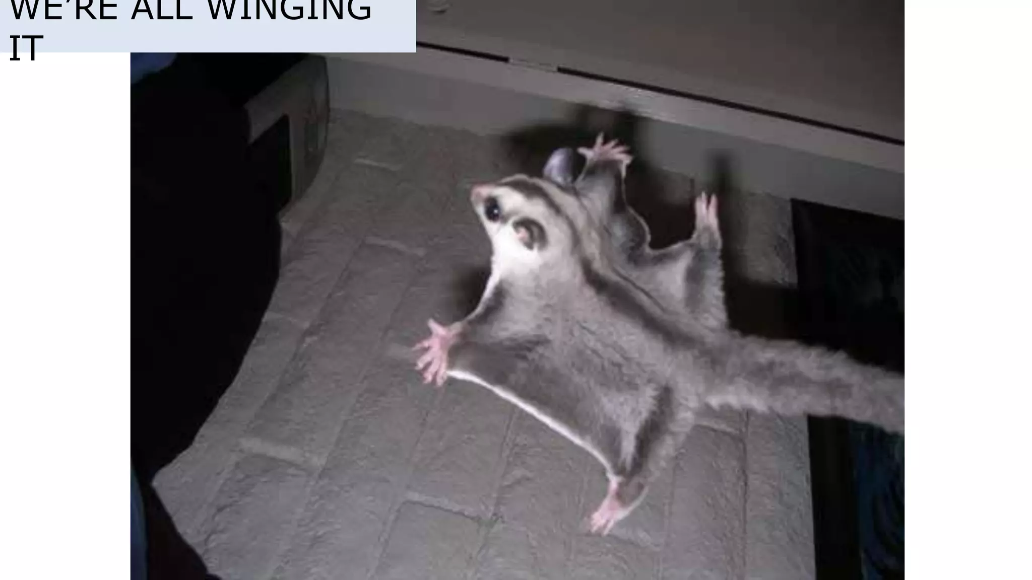 WE’RE ALL WINGING
IT
 