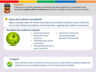 CREATINA
A Creatina (creatina mono-hidratada) é uma substância incolor, cristalina e usada pelo tecido muscular
para a produção de fosfocreatina,muito importante na formação de adenosina trifosfato (ATP), a fonte
de energia para a contração muscular e tantas outras funções no nosso corpo.
Creatina é um composto produzido naturalmente pelo nosso organismo na combinação de três
aminoácidos arginina, glicina e metionina para fornecer a energia necessária aos nossos músculos.
A Creatina é mais adequada para os culturistas, pois ajuda ao aumento da massa
muscular em vez da resistência muscular, sendo, por isso, menos apropriada para
atletas que participem de atividades desportivas de resistência. No entanto, o
aumento da massa muscular pode dever-se à retenção de líquidos e não ao aumento
do tecido.
Indicação
Saiba Mais
Use a creatina de 4 a 8 semanas. Após isso, seu organismo tentará fazer o nível de
creatina voltar ao normal (reduzindo a produção de creatina ou o número de receptores
das células). Por isso, após esse prazo, faça uma pausa de 1 mês para que o nível volte ao
normal. Depois retorne a fazer o uso e volte a ter os benefícios já experimentados.
Como consumir?
A creatina é mais bem absorvida quando ingerida junto com CHO em líquidos mornos,antes ou após o treino.
 