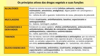 Os princípios ativos das drogas vegetais e suas funções
ALCALÓIDES Atuam no sistema nervoso central (efeitos calmante, sedativo,
estimulante, anestésico, analgésico). Alguns podem ser cancerígenos e
outros antitumorais.
Ex.: cafeína do café e guaraná, teobromina do cacau, pilocarpina do jaborandi.
MUCILAGENS Efeitos cicatrizante, antinflamatório, laxativo, expectorante e
antiespasmódico.
Ex.: babosa, tanchagem, psyllium.
FLAVONÓIDES E
DERIVADOS
Fortalecem os vasos capilares; efeitos antinflamatório, antiesclerótico,
antiedematoso, dilatador de coronárias, espasmolítico,
antihepatotóxico, colerético e antimicrobiano.
Ex.: rutina, quercetina, chá verde.
TANINOS Por via interna, exercem efeito antidiarréico e antisséptico: por via externa,
impermeabilizam as camadas mais expostas da pele e mucosas, protegendo
assim, as camadas subjacentes. Ao precipitar proteínas, os taninos propiciam
um efeito antimicrobiano e antifúngico. Ex.: barbatimão, vitis vinífera.
ÓLEOS ESSENCIAIS Efeitos: bactericida, antivirótico, cicatrizante, analgésico, relaxante,
expectorante e antiespasmódico. Ex.: mentol nas hortelãs, timol no
tomilho, eugenol no cravo da índia.
 