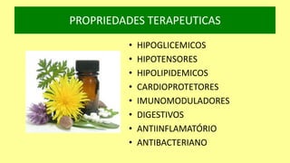 PROPRIEDADES TERAPEUTICAS
• HIPOGLICEMICOS
• HIPOTENSORES
• HIPOLIPIDEMICOS
• CARDIOPROTETORES
• IMUNOMODULADORES
• DIGESTIVOS
• ANTIINFLAMATÓRIO
• ANTIBACTERIANO
 