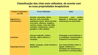 Classificação dos chás mais utilizados, de acordo com
as suas propriedades terapêuticas
Função Terapêutica
do Chá
Ervas Utilizadas Ação
Digestivos e
Carminativos
Hortelã, camomila, sálvia,
alecrim, anis-estrelado,
espinheira-santa, dente-de-leão,
erva-doce, alfavaca, angélica,
coentro, poejo, cravo-da-índia,
cominho, cardamomo, menta,
gengibre e alho (bulbo).
Favorecem uma melhor
digestão e diminuem gases
estomaciais ou intestinais.
Laxativos
Cáscara-sagrada, zimbro,
hortelã, capim-cidreira e
carqueja.
Estimulam o peristaltismo e
a motilidade, aumentando a
frequência evaculatória.
Hepatoprotetores
Boldo, carqueja, cardo-mariano e
alcachofra.
Tem ação benéfica sobre o
fígado, melhoram a
atividade dos hepatócitos e
aumentam a secreção biliar.
 