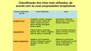 Função Terapêutica
do Chá
Ervas Utilizadas Ação
DIURÉTICOS
Cavalinha, caroba, carqueja,
bardana (raiz), cabelo de
milho, chapéu-de-couro,
dente-de-leão, borragem,
limão e alfafa.
Aumentam a filtração
glomerular e a excreção
urinária (diurese).
CALMANTES
Capim-cidreira, maracujá,
hortelã, tília, melissa, angélica,
folha de alface e camomila.
Exercem função calmante
sobre o sistema nervoso e
induzem o sono.
EXPECTORANTES
Angélica, rosa mosqueta,
alecrim, sabugueiro, guaco,
gengibre, alcaçuz, alho e
agrião.
Reduzem o excesso de
muco, desobstruem as vias
aéreas e diminuem os
sintomas da gripe.
Classificação dos chás mais utilizados, de
acordo com as suas propriedades terapêuticas
 