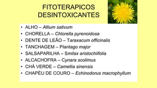 FITOTERAPICOS
DESINTOXICANTES
• ALHO – Allium sativum
• CHORELLA – Chlorella pyrenoidosa
• DENTE DE LEÃO – Taraxacum officinalis
• TANCHAGEM – Plantago major
• SALSAPARILHA – Smilax aristochiifolia
• ALCACHOFRA – Cynara scolimus
• CHÁ VERDE – Camellia sinensis
• CHAPÉU DE COURO – Echinodorus macrophyllum
 
