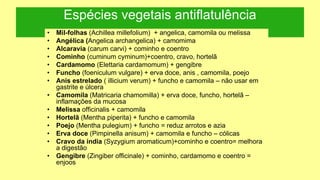 Espécies vegetais antiflatulência
• Mil-folhas (Achillea millefolium) + angelica, camomila ou melissa
• Angélica (Angelica archangelica) + camomima
• Alcaravia (carum carvi) + cominho e coentro
• Cominho (cuminum cyminum)+coentro, cravo, hortelã
• Cardamomo (Elettaria cardamomum) + gengibre
• Funcho (foeniculum vulgare) + erva doce, anis , camomila, poejo
• Anis estrelado ( illicium verum) + funcho e camomila – não usar em
gastrite e úlcera
• Camomila (Matricaria chamomilla) + erva doce, funcho, hortelã –
inflamações da mucosa
• Melissa officinalis + camomila
• Hortelã (Mentha piperita) + funcho e camomila
• Poejo (Mentha pulegium) + funcho = reduz arrotos e azia
• Erva doce (Pimpinella anisum) + camomila e funcho – cólicas
• Cravo da índia (Syzygium aromaticum)+cominho e coentro= melhora
a digestão
• Gengibre (Zingiber officinale) + cominho, cardamomo e coentro =
enjoos
 