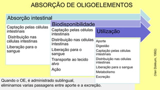 ABSORÇÃO DE OLIGOELEMENTOS
Quando o OE, é administrado sublingual,
eliminamos varias passagens entre aporte e a excreção.
(Van
Dokkum,
1992)
Absorção intestinal
Captação pelas células
intestinais
Distribuição nas
células intestinas
Liberação para o
sangue
Biodisponibilidade
Captação pelas células
intestinais
Distribuição nas células
intestinas
Liberação para o
sangue
Transporte ao tecido
alvo
Ação
Utilização
Aporte
Digestão
Captação pelas células
intestinais
Distribuição nas células
intestinas
Liberação para o sangue
Metabolismo
Excreção
 