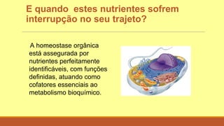 E quando estes nutrientes sofrem
interrupção no seu trajeto?
A homeostase orgânica
está assegurada por
nutrientes perfeitamente
identificáveis, com funções
definidas, atuando como
cofatores essenciais ao
metabolismo bioquímico.
 