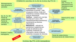 Antecedentes – alergias
alimentares na família – mãe
enxaqueca crônica, irmãs com
intolerância a lactose. Relata não
evacuar diariamente.
Gatilhos - trabalho em uma loja
de tintas por 5 anos. LPS
(lipopolissacarídeos bacterianos)
aumentando as citocinas
inflamatórias
Mediadores – redução da
serotonina e melatonina em
função da deficiência dos
nutrientes. Ambiente pró
inflamatório, devido a falta de
nutrientes e excesso de citocinas.
DESEQUILIBRIOS
NUTRICIONAIS
DISFUNÇÕES
NEUROENDO
CRINAS
ALTERAÇÕES
GASTRINTESTINAIS
INTERAÇÃO
CORPO MENTE
ESTRESSE
OXIDATIVO
METABOLISMO
ENERGETICO
DETOXIFICAÇÃO
DISF.
IMUNOLÓGICAS
E INFLAMAÇÃO
DESEQUILIBRIOS
ESTRUTURAIS
Painel de metais tóxicos,
biorressonancia de metais tóxicos
Vitamina B12, ácido
fólico
Cortisol
TSH, T4 livre, T3
Testosterona livre
Testosterona total
Creatina
fosfoquinase
VITAMINA B12, ácido fólico, Zn, Cu, Mn, Se, Ca iônico, Mg, PTH, D3
Biorressonancia
para alimentos e
parasitas
Se, Zn, Cu, Mn
Painel de
metais tóxicos
Painel de
minerais na
hemácia
Proteina C reativa,
Hemograma
Ca iônico, Mg, PTH, vit D3, bioimpedância
 