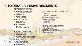 TERMOGENICOS
• Citrus aurantium
• Sinetrol
• Chá verde
• Chá branco
• Bauhinia
• Coleforin
• Pholia magra
SACIETOGENOS
• Slendesta
• Caralluma fimbriata
• Pectina
• Glucomanan
• Pinnothin
REDUÇÃO APETITE /ANSIEDADE
•Kombu
•Garcínia Camboja
(vontade comer doce)
•Rhodiola rósea
•Magnólia
ABSORÇÃO CARBOIDRATOS
•Faseolamina
ABSORÇÃO GORDURAS
•Caseolamina
 