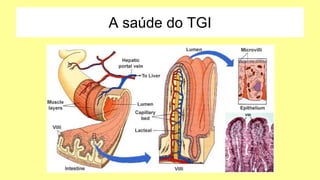 A saúde do TGI
 