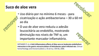 • Uso diário por no mínimo 6 meses - para
cicatrização e ação antibacteriana – 30 a 60 ml
ao dia
• O uso de aloe vera reduziu a adesão
leucocitária ao endotélio, mostrando
diminuição nos níveis de TNF-α, um
importante marcador inflamatório.
RATSAMEE P. et al Anti-inflammatory effects of Aloe vera on leukocyte-endothelium
interaction in the gastric microcirculation of Helicobacter pylori-infected rats. Clinical
hemorheology and microcirculation.v. 35 ed 3 p. 359-66, 2006.
 