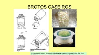 BROTOS CASEIROS
pt.petitchef.com/.../cultura-de-brotos-passo-a-passo-fid-286240
 