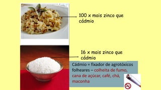 • Cádmio = fixador de agrotóxicos
folheares – colheita de fumo,
cana de açúcar, café, chá,
maconha
100 x mais zinco que
cádmio
16 x mais zinco que
cádmio
 