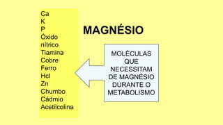 Ca
K
P
Óxido
nítrico
Tiamina
Cobre
Ferro
Hcl
Zn
Chumbo
Cádmio
Acetilcolina
MOLÉCULAS
QUE
NECESSITAM
DE MAGNÉSIO
DURANTE O
METABOLISMO
 