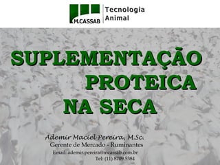 SUPLEMENTAÇÃO
     PROTEICA
    NA SECA
  Ademir Maciel Pereira, M.Sc.
   Gerente de Mercado - Ruminantes
    Email: ademir.pereira@mcassab.com.br
                       Tel: (11) 8709.5384
 