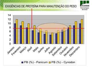 EXIGÊNCIAS DE PROTEÍNA PARA MANUTENÇÃO DO PESO

 14
 12
 10
  8
  6
  4
  2
  0




             o
    ut o
          iro




 ez bro
            o
         ço
 Fe iro




  et to
           o

           o

   A o
            il




         br
         br

N ubr
        br

        ai
       nh

        lh

        s
       re

      ar
      ne




    em
    em



    em
      M



     Ju

     go
      A


    Ju
    ve

    M
   Ja




  ov
  O
S




D
            PB (%) - Panicum   PB (%) - Cynodon
 