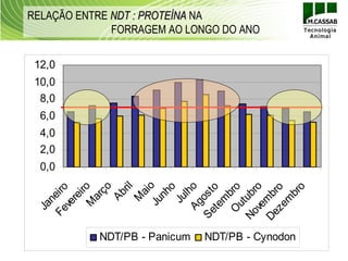 RELAÇÃO ENTRE NDT : PROTEÍNA NA
              FORRAGEM AO LONGO DO ANO


 12,0
 10,0
  8,0
  6,0
  4,0
  2,0
  0,0
      Ju o
             ril
            ço




   Ag ho
           iro




   ve ro
              o




             o
   O bro
  Fe iro




    te o




   ze ro
          ai
         nh




         br
 Se ost
        Ab




 No ub
 De mb
        ar
        re




          l
       ne




       M


       Ju




       m
       m
     ve
     M




     ut
   Ja




           NDT/PB - Panicum   NDT/PB - Cynodon
 