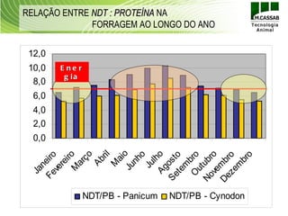 RELAÇÃO ENTRE NDT : PROTEÍNA NA
              FORRAGEM AO LONGO DO ANO


 12,0
 10,0   E ne r
         g ia
  8,0
  6,0
  4,0
  2,0
  0,0
      Ju o
             ril
            ço




   Ag ho
           iro




   ve ro
              o




             o
   O bro
  Fe iro




    te o




   ze ro
          ai
         nh




         br
 Se ost
        Ab




 No ub
 De mb
        ar
        re




          l
       ne




       M


       Ju




       m
       m
     ve
     M




     ut
   Ja




                 NDT/PB - Panicum   NDT/PB - Cynodon
 