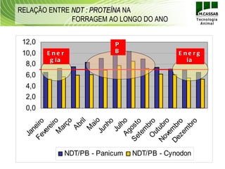 RELAÇÃO ENTRE NDT : PROTEÍNA NA
              FORRAGEM AO LONGO DO ANO


 12,0                         P
 10,0   E ne r                B                 E ne rg
         g ia                                      ia
  8,0
  6,0
  4,0
  2,0
  0,0
      Ju o
             ril
            ço




   Ag ho
           iro




   ve ro
              o




             o
   O bro
  Fe iro




    te o




   ze ro
          ai
         nh




         br
 Se ost
        Ab




 No ub
 De mb
        ar
        re




          l
       ne




       M


       Ju




       m
       m
     ve
     M




     ut
   Ja




                 NDT/PB - Panicum   NDT/PB - Cynodon
 