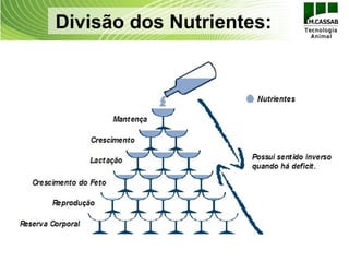 Divisão dos Nutrientes:
 