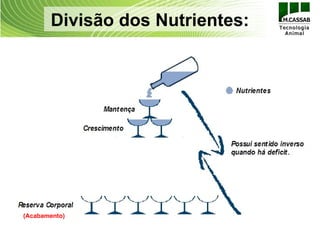Divisão dos Nutrientes:




(Acabamento)
 