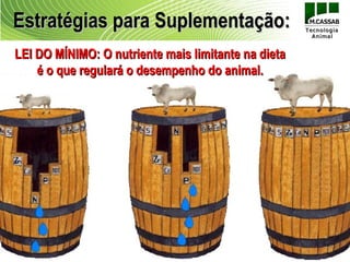 Estratégias para Suplementação:
LEI DO MÍNIMO: O nutriente mais limitante na dieta
    é o que regulará o desempenho do animal.
 
