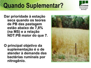 Quando Suplementar?
Dar prioridade à estação
 seca quando os teores
 de PB das pastagem
 estão abaixo de 7,8%
 (na MS) e a relação
 NDT:PB maior do que 7.

O principal objetivo da
  suplementação é o de
  atender à demanda das
  bactérias ruminais por
  nitrogênio.
 