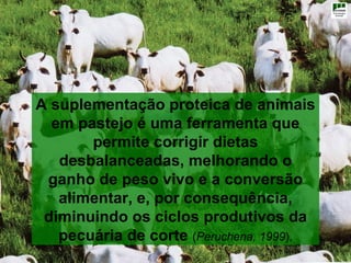 A suplementação proteica de animais
  em pastejo é uma ferramenta que
       permite corrigir dietas
   desbalanceadas, melhorando o
 ganho de peso vivo e a conversão
   alimentar, e, por consequência,
 diminuindo os ciclos produtivos da
   pecuária de corte (Peruchena, 1999).
 