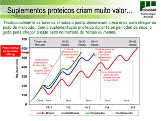 Suplementos proteicos criam muito valor...
Tradicionalmente os bovinos criados a pasto demoravam cinco anos para chegar ao
peso de mercado. Com a suplementação proteica durante os períodos de seca, o
gado pode chegar a esse peso na metade do tempo ou menos.

                          Tempo de          18-20           28-30   38-40                             60- 62
                           Mercado          meses           meses   meses                             meses
Peso normal                                      Uso de                Curva de ganho de
de mercado                                  proteinados evita            peso usando
  550 kg                                    a perda de peso                somente
                                                na seca.                 suplementos
                           Confinamento                                    minerais
        Kg (peso vivo)




                          acelera ganho
                         de peso mas
                                   nem
                          sempre é viável
                                                                            Curva tradicional de
                             em custos
                                                                              ganho de peso
                                                                             somente com sal
                                                                              comum (NaCl)




                            Chuva    Seca       Seca            Seca           Seca                Seca
 