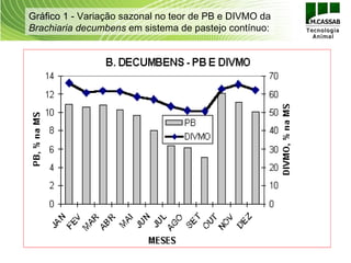 Gráfico 1 - Variação sazonal no teor de PB e DIVMO da
Brachiaria decumbens em sistema de pastejo contínuo:
 