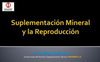 Suplementación Mineral y la Reproducción E. Santiago Burbano L. Zootecnista UN Director Departamento Técnico INDAGRO S.A. 