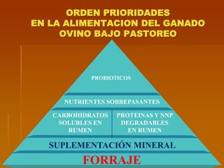 ORDEN PRIORIDADES
EN LA ALIMENTACION DEL GANADO
OVINO BAJO PASTOREO
FORRAJE
SUPLEMENTACIÓN MINERAL
CARBOHIDRATOS
SOLUBLES EN
RUMEN
PROTEINAS Y NNP
DEGRADABLES
EN RUMEN
NUTRIENTES SOBREPASANTES
PROBIOTICOS
 