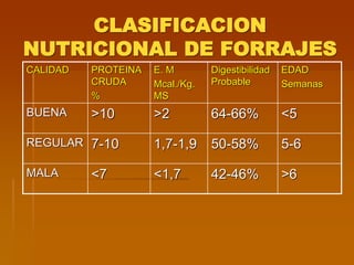 CLASIFICACION
NUTRICIONAL DE FORRAJES
CALIDAD PROTEINA
CRUDA
%
E. M
Mcal./Kg.
MS
Digestibilidad
Probable
EDAD
Semanas
BUENA >10 >2 64-66% <5
REGULAR 7-10 1,7-1,9 50-58% 5-6
MALA <7 <1,7 42-46% >6
 
