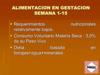 ALIMENTACION EN GESTACION
SEMANA 1-15
 Requerimientos nutricionales
relativamente bajos.
 Consumo Voluntario Materia Seca : 3,0%
de su Peso Vivo
 Dieta basada en
forrajes+agua+minerales
 