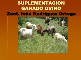 SUPLEMENTACION
GANADO OVINO
Zoot. Iván Rodríguez Ortega
 