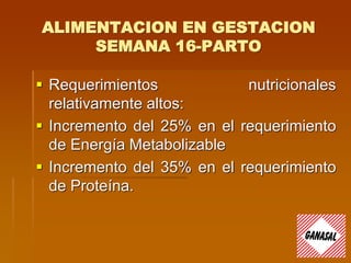 ALIMENTACION EN GESTACION
SEMANA 16-PARTO
 Requerimientos nutricionales
relativamente altos:
 Incremento del 25% en el requerimiento
de Energía Metabolizable
 Incremento del 35% en el requerimiento
de Proteína.
 