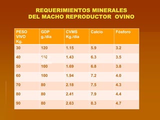 REQUERIMIENTOS MINERALES
DEL MACHO REPRODUCTOR OVINO
PESO
VIVO
Kg.
GDP
g./día
CVMS
Kg./día
Calcio Fósforo
30 120 1.15 5.9 3.2
40 110 1.43 6.3 3.5
50 100 1.69 6.8 3.8
60 100 1.94 7.2 4.0
70 80 2.18 7.5 4.3
80 80 2.41 7.9 4.4
90 80 2.63 8.3 4.7
GDP
g./día
 