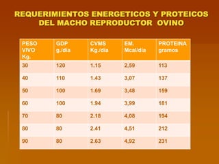 REQUERIMIENTOS ENERGETICOS Y PROTEICOS
DEL MACHO REPRODUCTOR OVINO
PESO
VIVO
Kg.
GDP
g./día
CVMS
Kg./día
EM.
Mcal/día
PROTEINA
gramos
30 120 1.15 2,59 113
40 110 1.43 3,07 137
50 100 1.69 3,48 159
60 100 1.94 3,99 181
70 80 2.18 4,08 194
80 80 2.41 4,51 212
90 80 2.63 4,92 231
 