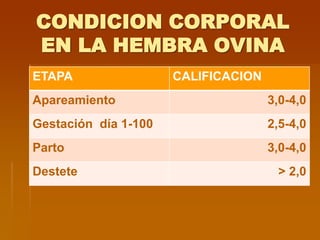 CONDICION CORPORAL
EN LA HEMBRA OVINA
ETAPA CALIFICACION
Apareamiento 3,0-4,0
Gestación día 1-100 2,5-4,0
Parto 3,0-4,0
Destete > 2,0
 