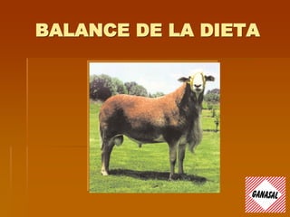 BALANCE DE LA DIETA
 