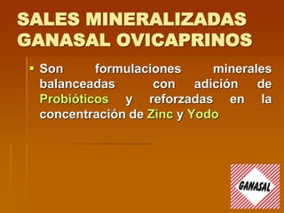 SALES MINERALIZADAS
GANASAL OVICAPRINOS
 Son formulaciones minerales
balanceadas con adición de
Probióticos y reforzadas en la
concentración de Zinc y Yodo
 