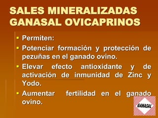 SALES MINERALIZADAS
GANASAL OVICAPRINOS
 Permiten:
 Potenciar formación y protección de
pezuñas en el ganado ovino.
 Elevar efecto antioxidante y de
activación de inmunidad de Zinc y
Yodo.
 Aumentar fertilidad en el ganado
ovino.
 