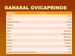 GANASAL OVICAPRINOS
MINERAL VALOR
Calcio 10.0%
Fósforo 7.0%
Cloruro de Sodio 38.32%
Magnesio 0.30%
Azufre 5.0%
Cobre 500 mg/kg.
Zinc 7.600 mg/kg.
Iodo 200 mg/kg.
Cobalto 23 mg/kg.
Selenio 20 mg/kg.
Cromo 2 mg/kg.
Zeolita 1.5%
Levadura viva Saccharomyces cerevisiae 0.3%
 