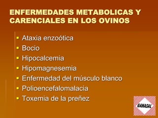 ENFERMEDADES METABOLICAS Y
CARENCIALES EN LOS OVINOS
 Ataxia enzoótica
 Bocio
 Hipocalcemia
 Hipomagnesemia
 Enfermedad del músculo blanco
 Polioencefalomalacia
 Toxemia de la preñez
 