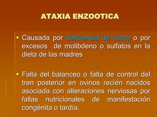 ATAXIA ENZOOTICA
 Causada por deficiencia de cobre o por
excesos de molibdeno o sulfatos en la
dieta de las madres
 Falla del balanceo o falta de control del
tren posterior en ovinos recién nacidos
asociada con alteraciones nerviosas por
fallas nutricionales de manifestación
congénita o tardía.
 