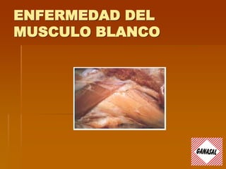 ENFERMEDAD DEL
MUSCULO BLANCO
 